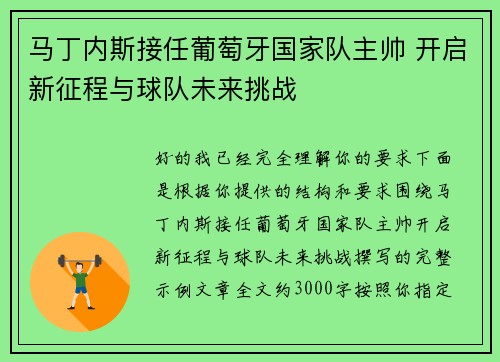 马丁内斯接任葡萄牙国家队主帅 开启新征程与球队未来挑战