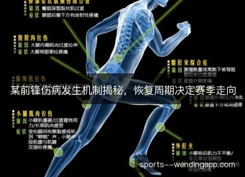 某前锋伤病发生机制揭秘,恢复周期决定赛季走向 某前锋伤病发生机制揭秘,恢复周期决定赛季走向